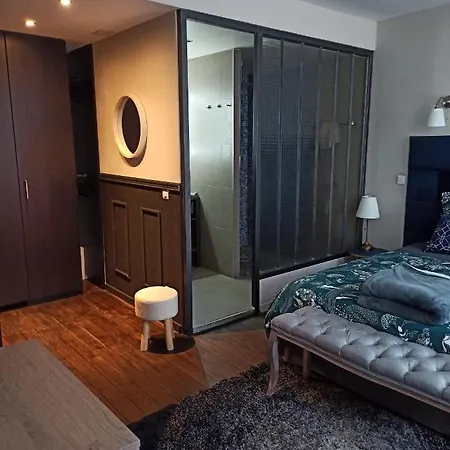 Апартаменты La Chouette Dijonnaise Дижон