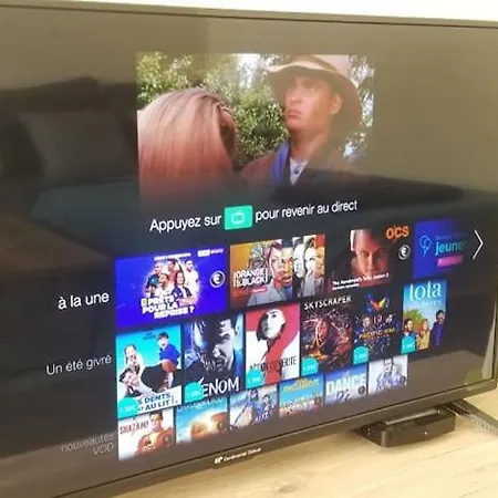 La Chouette Dijonnaise * Dijon