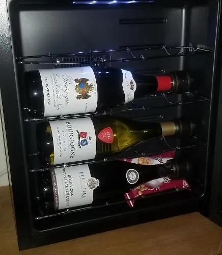 דירה La Chouette Dijonnaise *